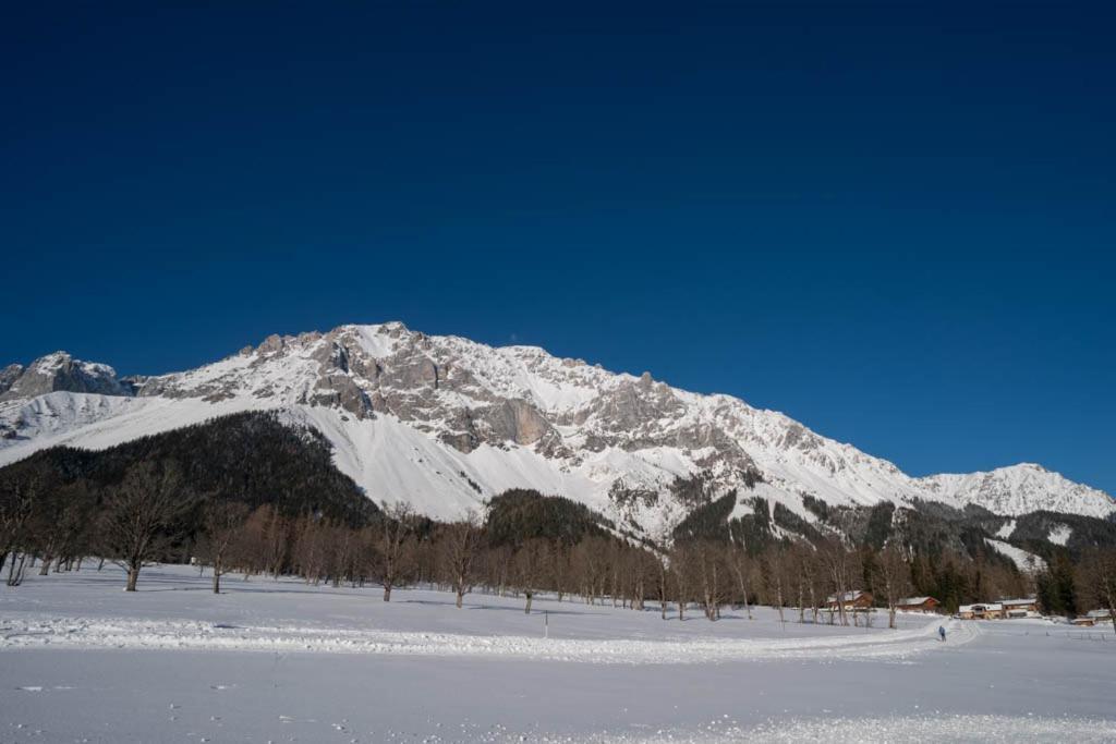 Appartamento Adlernest Ramsau am Dachstein Esterno foto